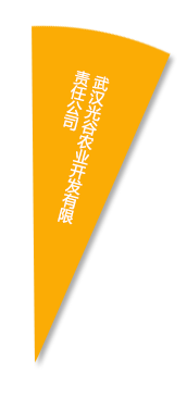 67381顶级娱乐(中国区)-游戏官方网站