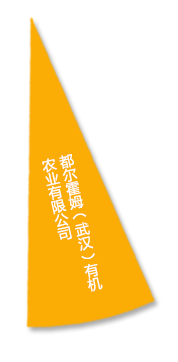 67381顶级娱乐(中国区)-游戏官方网站