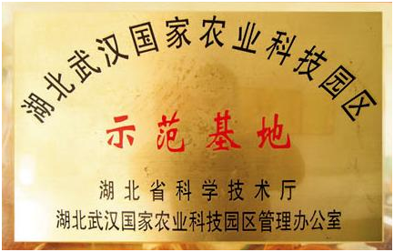 67381顶级娱乐(中国区)-游戏官方网站