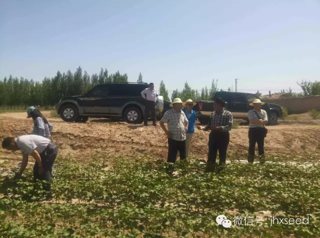 67381顶级娱乐(中国区)-游戏官方网站