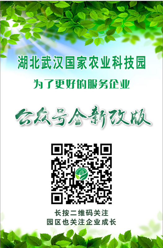 67381顶级娱乐(中国区)-游戏官方网站