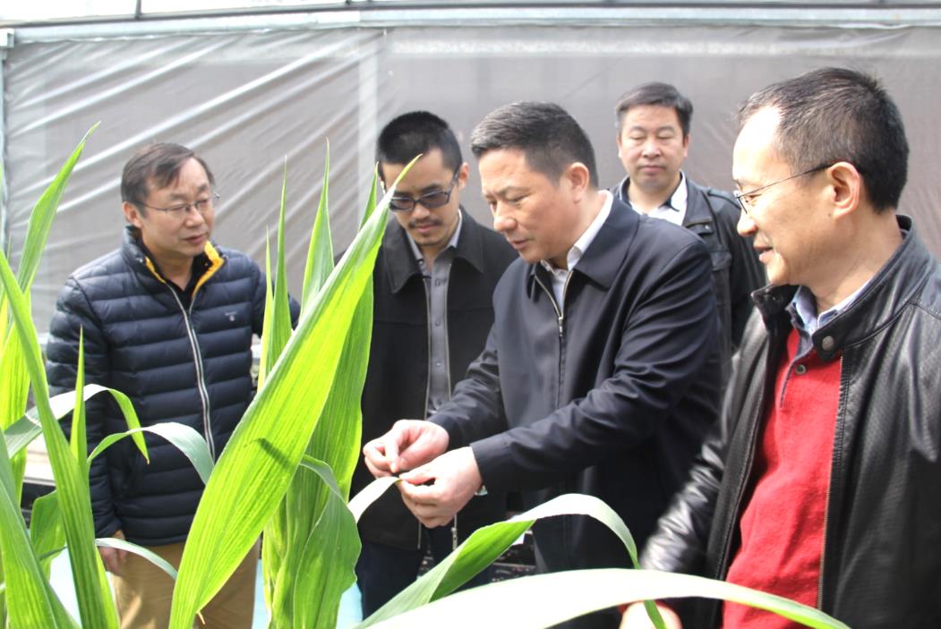 67381顶级娱乐(中国区)-游戏官方网站